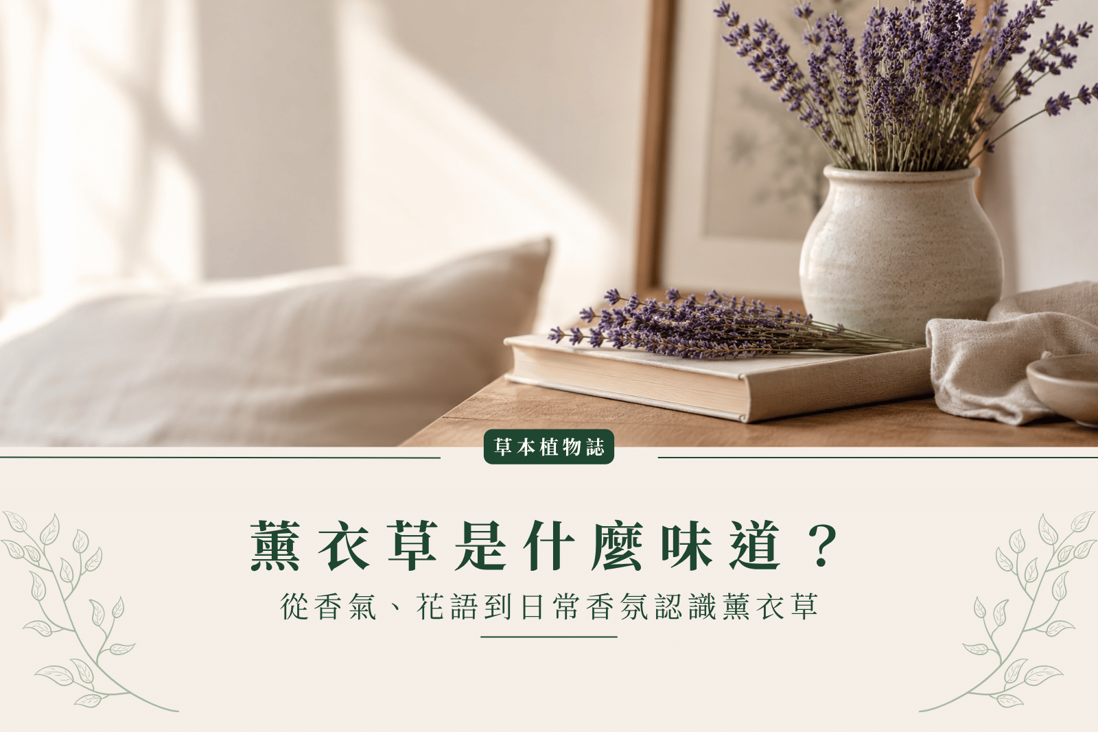 薰衣草是什麼味道？從香氣、花語到日常香氛認識薰衣草